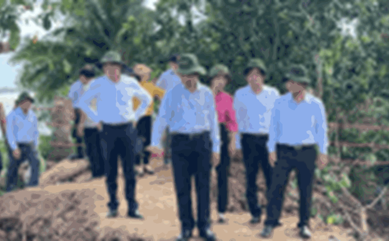 Secretary of Vinh Long Provincial Party Committee Tran Van Lau (front row, left cover) inspected the actual landslide and dike breach at Thanh Long Islet, Quoi Thien Commune. Photo: Hoang Loc