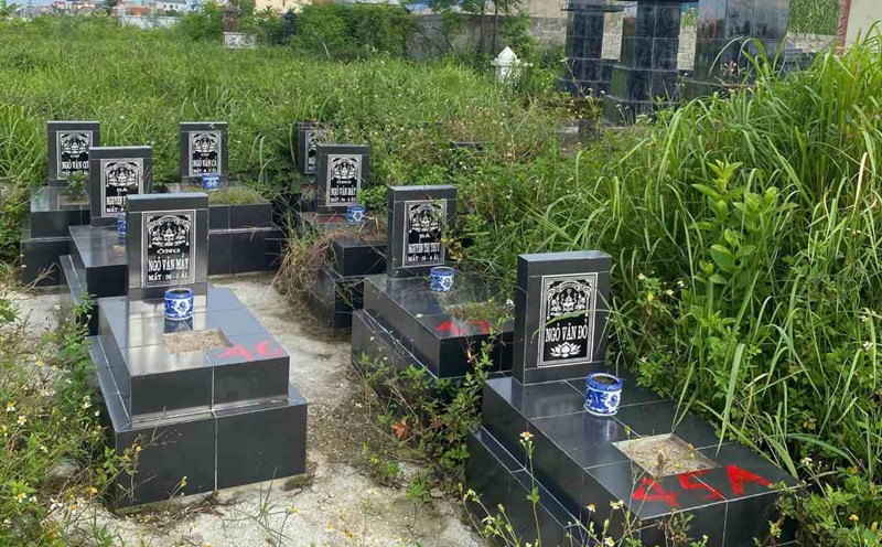 A series of failed failed projects have "growing" on the road and are in disarray through Hai Phong. Photo: An Khanh Commune