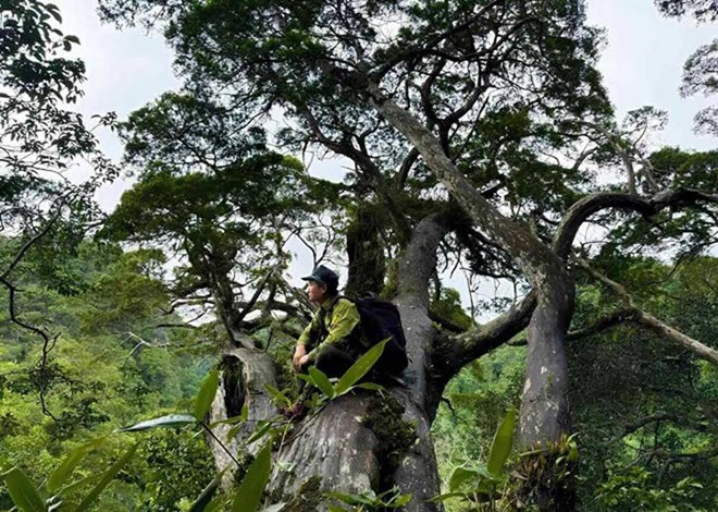Luc luong chuc nang kiem tra tai Vuon Quoc gia Phong Nha - Ke Bang. Anh: Hoang Thanh