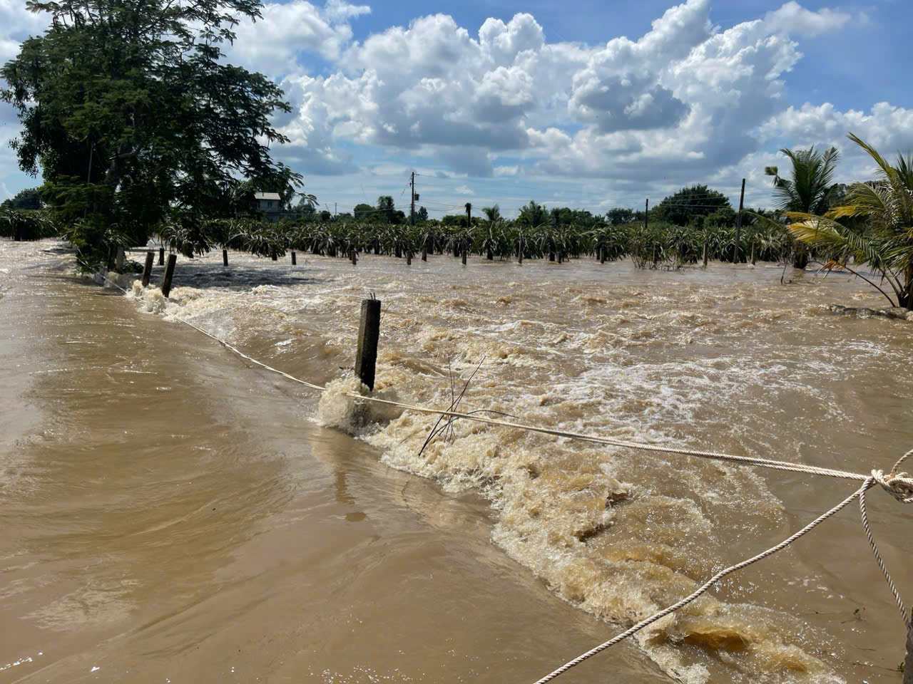 Floods are complicated in Lam Dong province. Photo: Phuc Khanh
