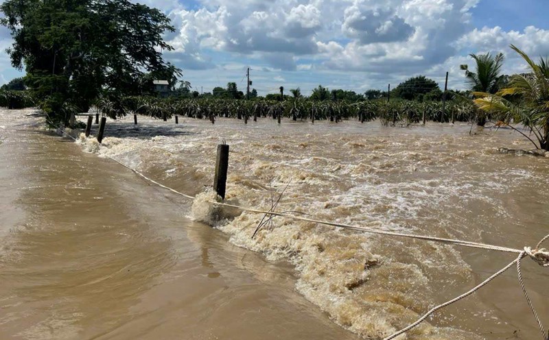 Floods are complicated in Lam Dong province. Photo: Phuc Khanh