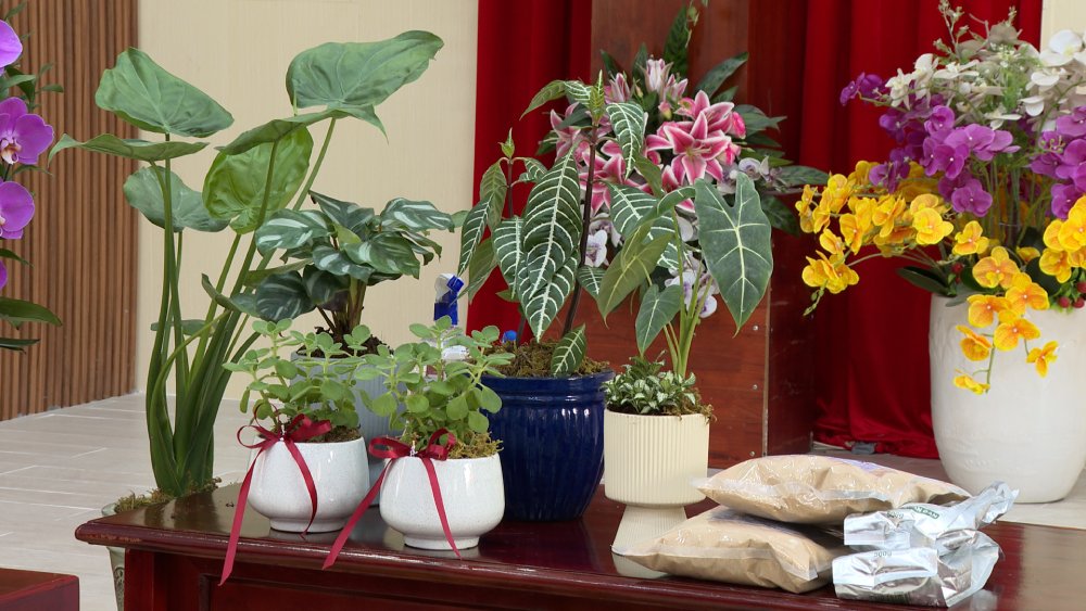 Bien rac thai huu co tai che thanh phan bon de trong rau, hoa... dang mang lai hieu qua tich cuc cho moi truong. Anh: Nam Phuong