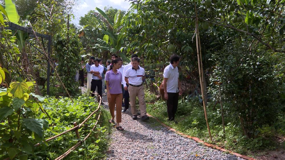 農業および環境技術を観光に応用することで、フーコック観光開発の新たな方向性が開かれています。写真: ナム・フォン