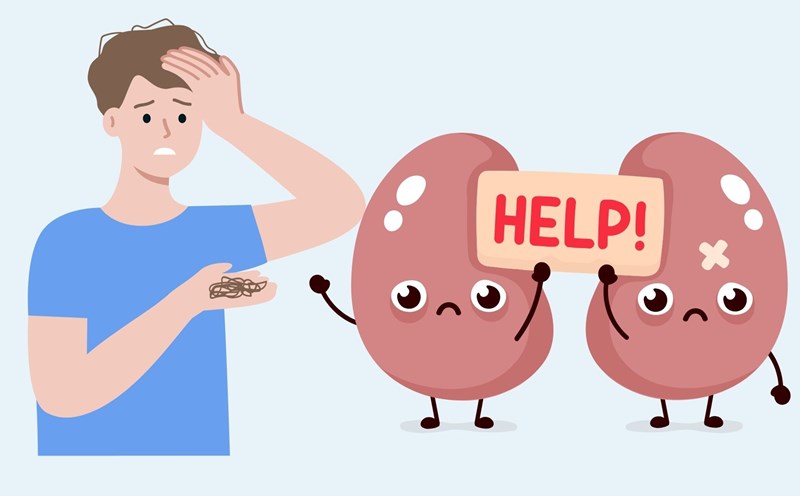 Signs in hair show that the kidneys are deteriorating. Graphics: Linh Dan