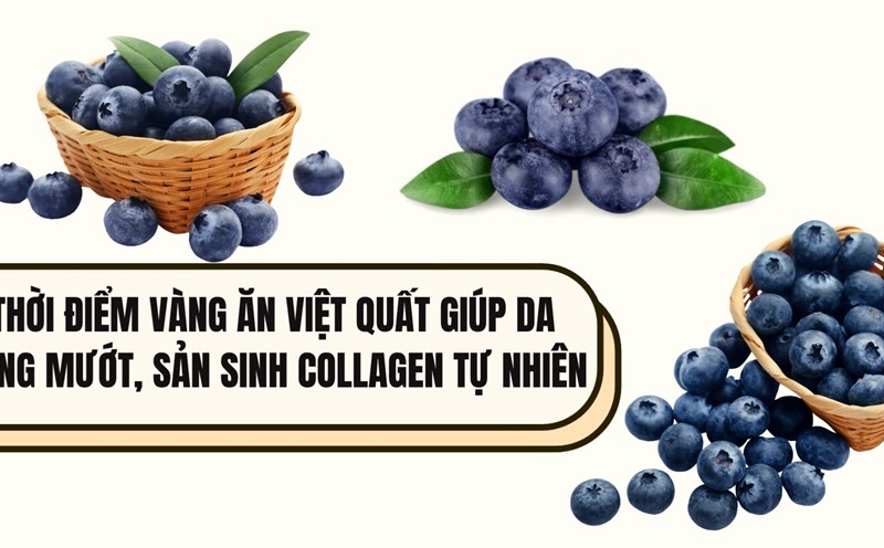 The golden time to eat blueberries helps tighten skin, producing natural collagen