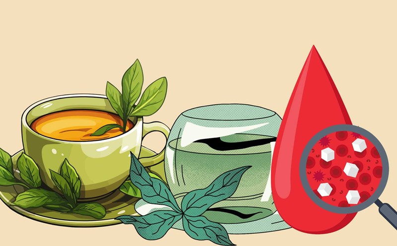 These two types of tea are recommended by nutritionists for people with a high glycemic index. Graphic photo: Hoang Loc