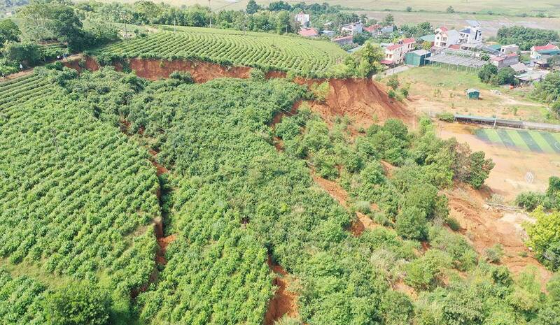 Nhung vet nut chi chit tren doi Vi-ba. Anh: Quoc Viet