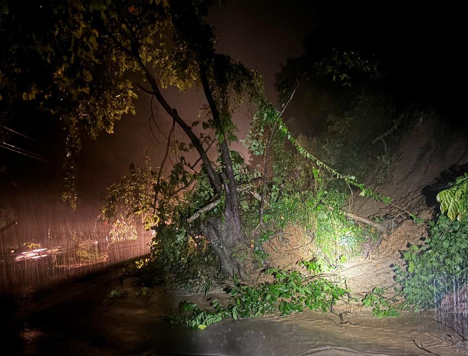 Nhieu vi tri tren deo Song Pha – khu vuc giap ranh giua tinh Lam Dong va Khanh Hoa – da xay ra sat lo. Anh: Cong an tinh Khanh Hoa