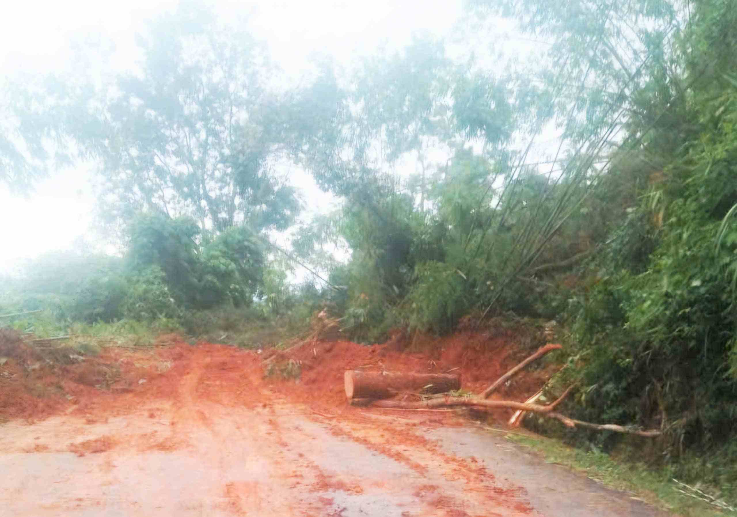 Mot diem sat lo khien dat da, cay rung vui lap mat duong tren deo Gia Bac. Anh: Phuc Khanh
