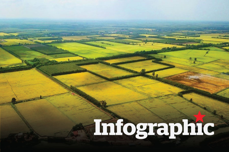 Chi tiết bảng giá đất nông nghiệp dự kiến áp dụng tại Hà Nội từ 1.1.2026
