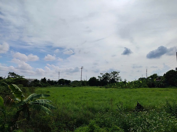 初めて赤本の発行規定に興味を持つ人も多いでしょう。写真：シュエン・ドン