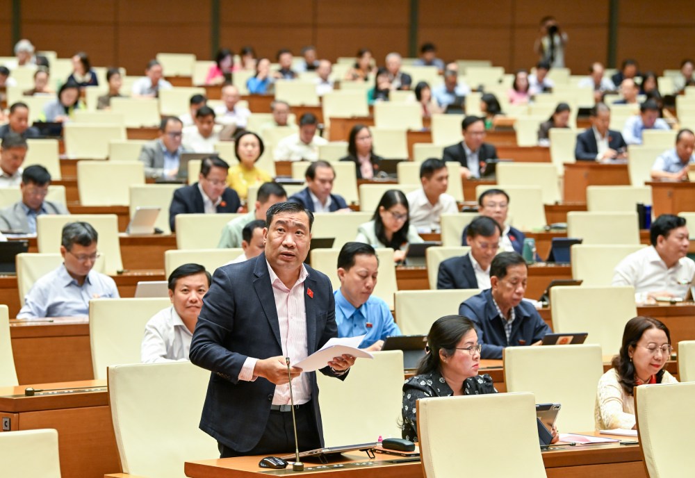 国会議員のタック・フック・ビン氏は、多くの企業が依然として環境コストを将来への投資ではなく負担と考えていると述べた。写真: ファムドン