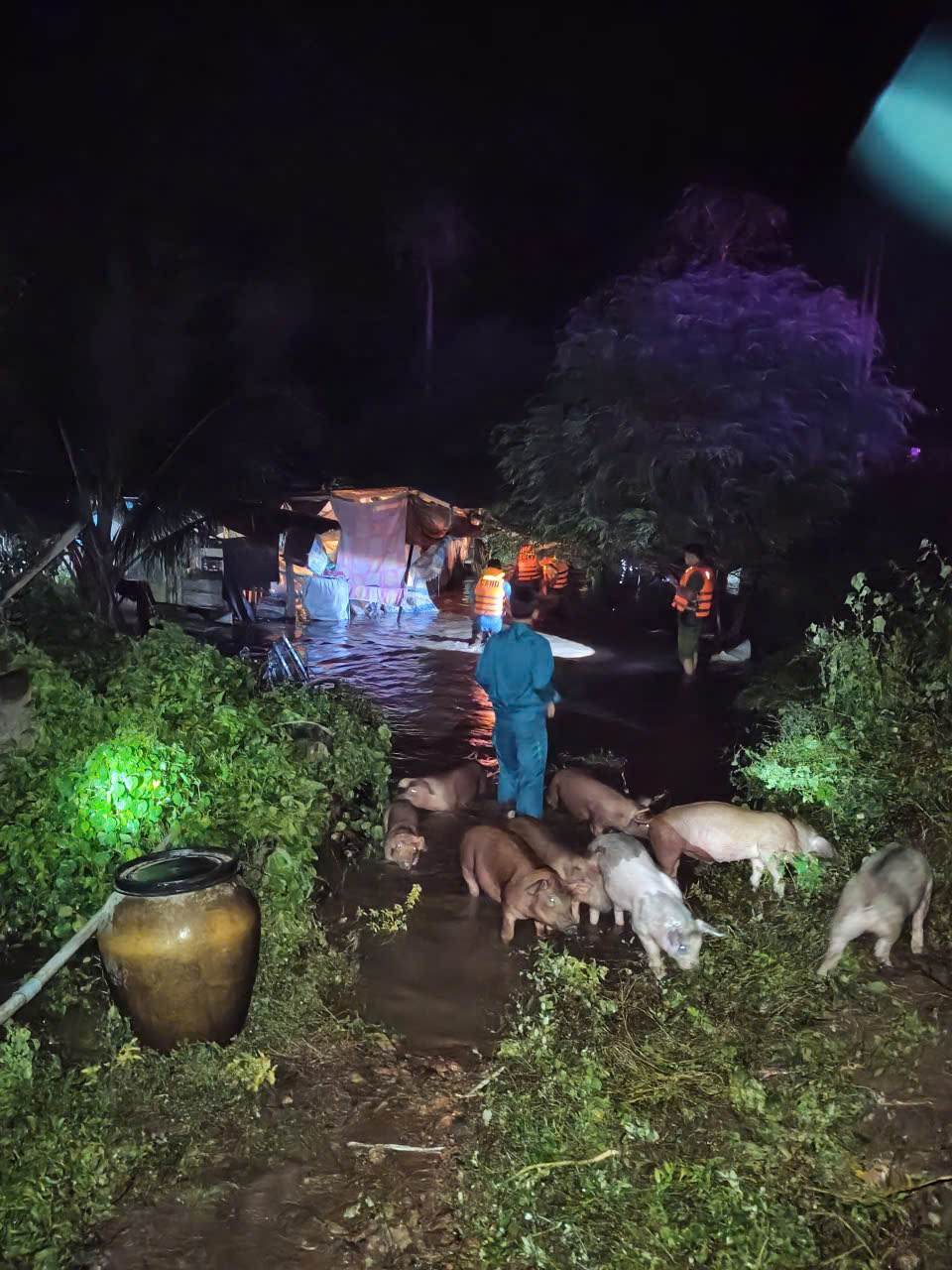 Luc luong cuu ho tinh Lam Dong kip thoi ho tro nguoi dan di chuyen dan vat nuoi den noi an toan. Anh: Luc luong cuu ho cung cap