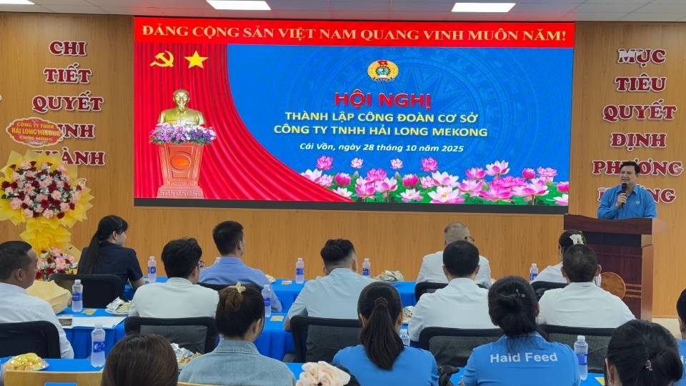 From July 2025 to present, the Provincial Federation of Labor has established 20 grassroots unions. Photo: Hoang Loc
