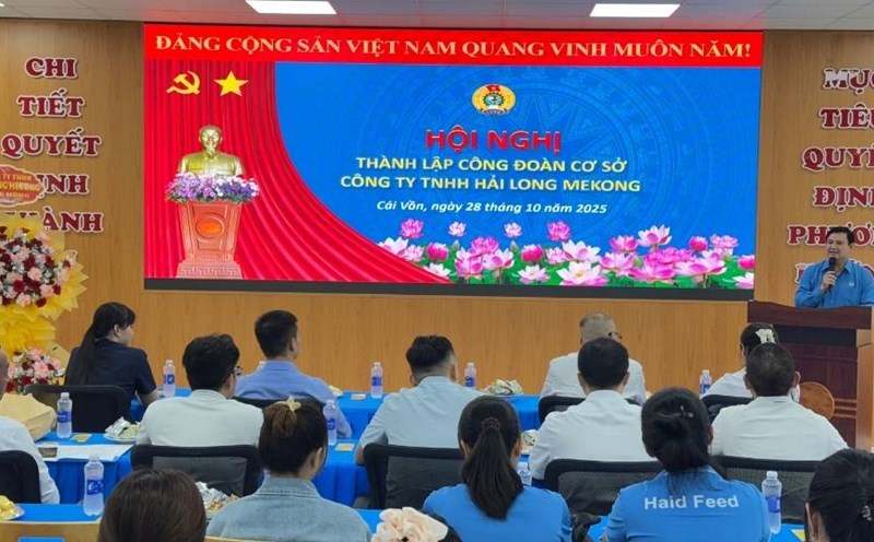 From July 2025 to present, the Provincial Federation of Labor has established 20 grassroots unions. Photo: Hoang Loc