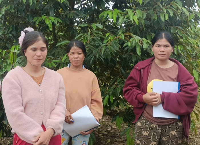 Nguoi dan hy vong vuon cay nang suat tot nho duoc truyen day ky nang trong trot, cham soc. Anh: Tra My