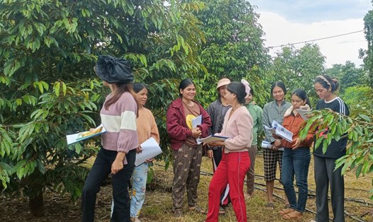 Người lao động mang sổ sách học thực hành, tham quan vườn sầu riêng. Ảnh: Trà My