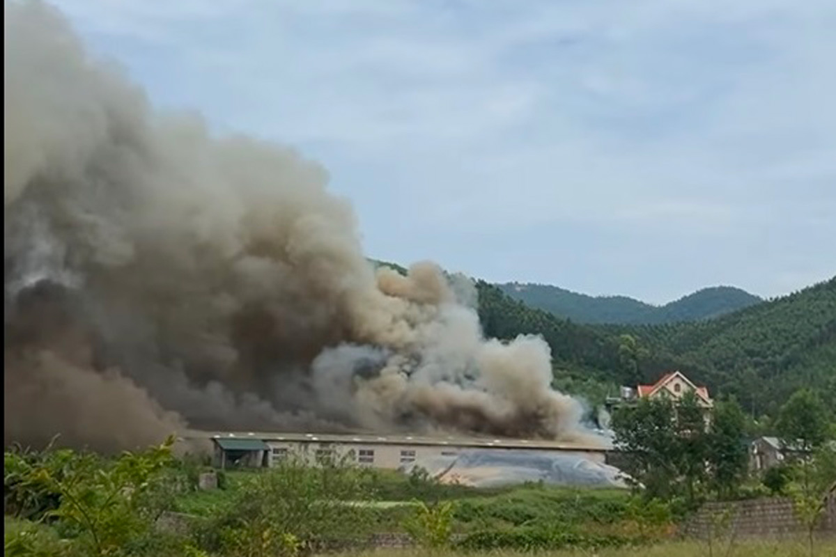 Toan canh dam chay. Anh: Nguoi dan cung cap