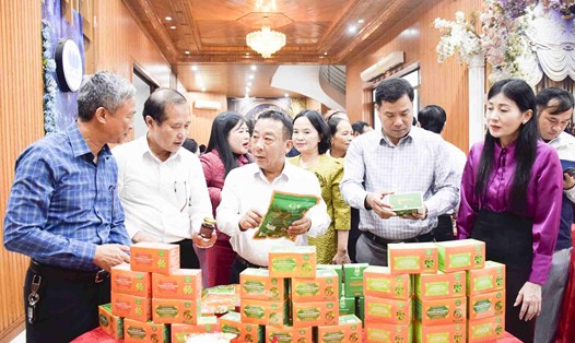 Các đại biểu tham quan các gian hàng trưng bày sản phẩm của các hợp tác xã Nghệ An tại hội nghị. Ảnh: Phương Thúy