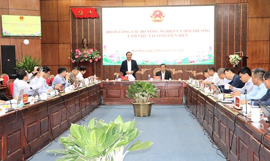 Thứ trưởng Bộ Nông nghiệp và Môi trường Võ Văn Hưng phát biểu tại buổi làm việc với UBND tỉnh Điện Biên. Ảnh: Thu Phương