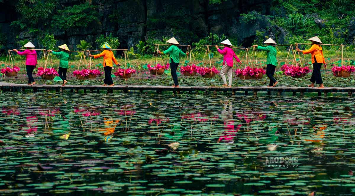 Ngoai ve dep lang man cua hoa sung, Tam Coc con la diem den ly tuong de du khach kham pha them nhieu hoat dong thu vi khac. Du khach co the tham quan cac hang dong ky vi nhu Hang Ca, Hang Hai, Hang Ba, hay chinh phuc nhung day nui da voi hung vi.