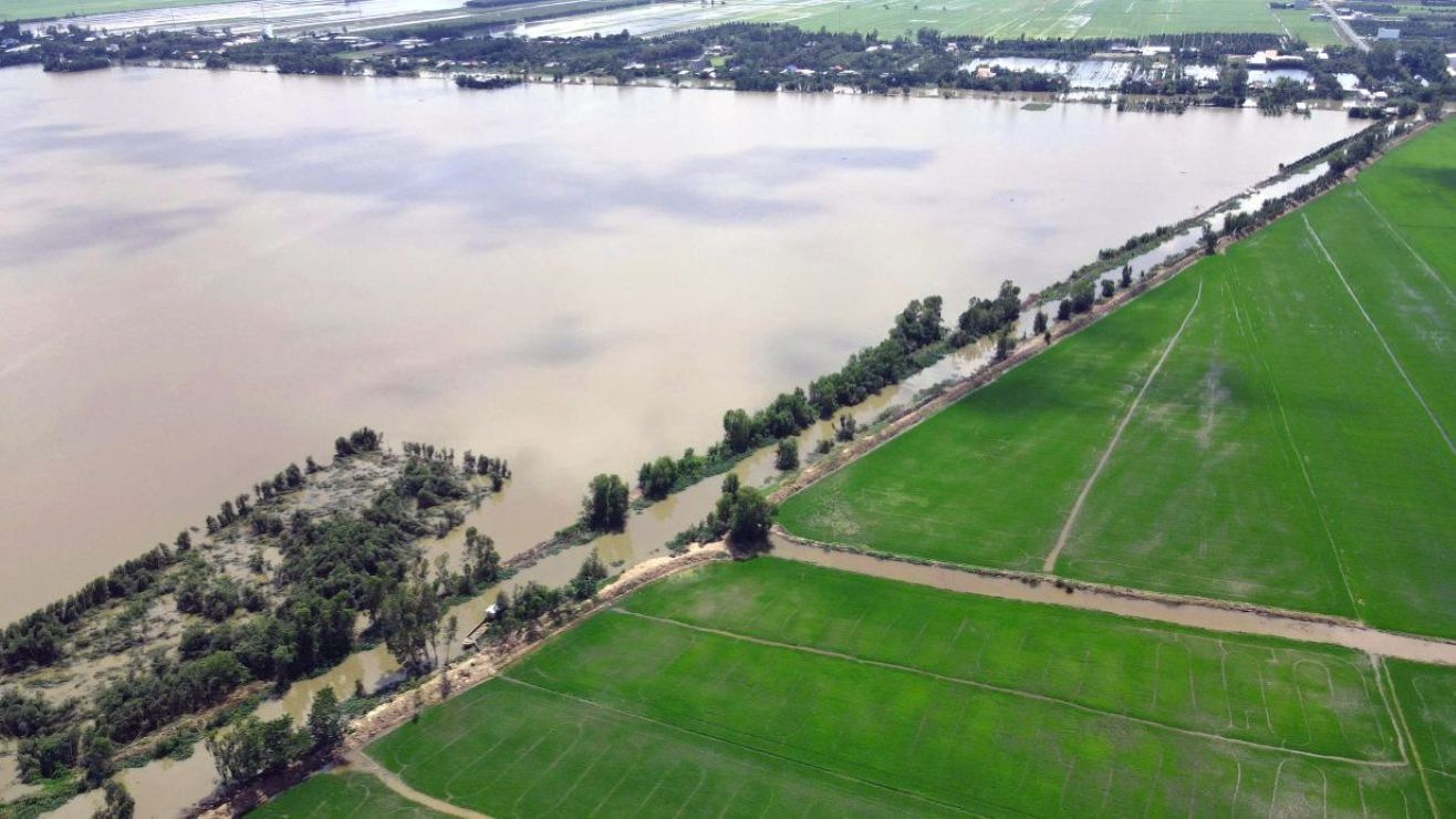 Hang ngan ha lua o xa Phuong Tinh dung truoc nguy co bi nuoc lu de doa. Anh: Tai Ngoc