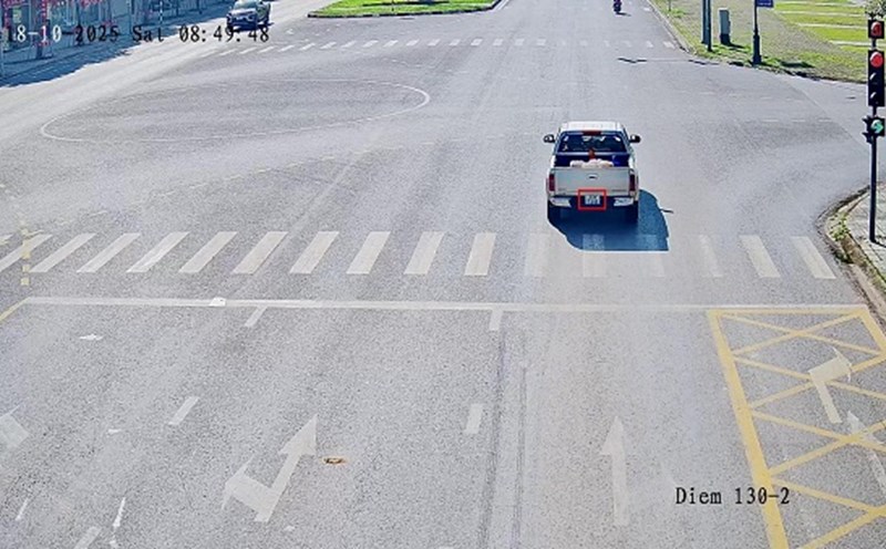 The owner was fined in Bac Ninh. Photo: Bac Ninh Police