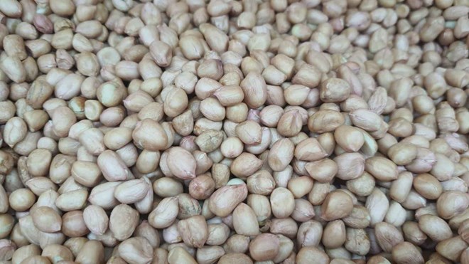 Understand the risks of peanuts. Photo: Thuy Duong