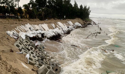 Khu vực bờ biển thuộc khối phố Tân Thành (Phường Hội An tây, Đà Nẵng) đang xói lở nguy hiểm. Ảnh: Thanh Huyền