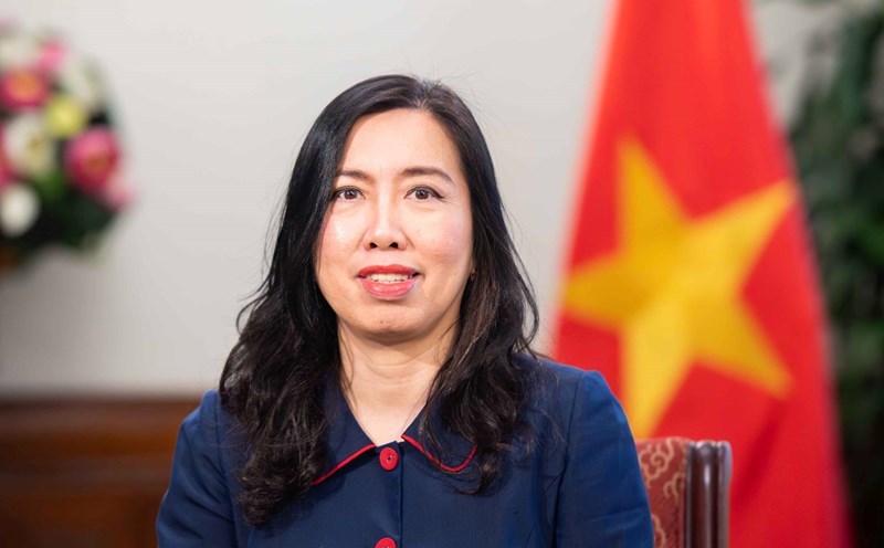 Deputy Minister of Foreign Affairs Le Thi Thu Hang. Photo: Ministry of Foreign Affairs