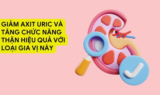 Nghệ là gia vị quen thuộc, rất tốt cho chức năng thận và giảm axit uric hiệu quả nếu dùng đúng và đủ. Ảnh đồ họa: Hương Sơn