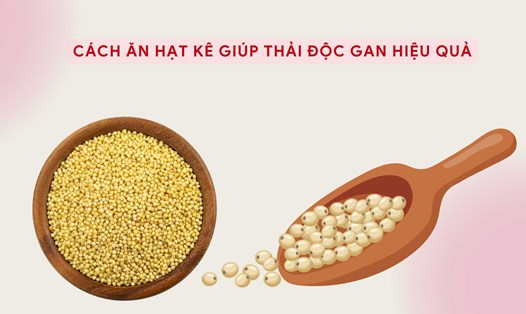 Hạt kê giàu polyphenol, giúp hỗ trợ thải độc gan hiệu quả. Ảnh đồ họa: Hương Sơn