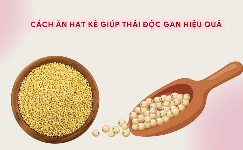 Millet is rich in polyphenols, which help support effective liver detoxification. Graphic photo: Huong Son