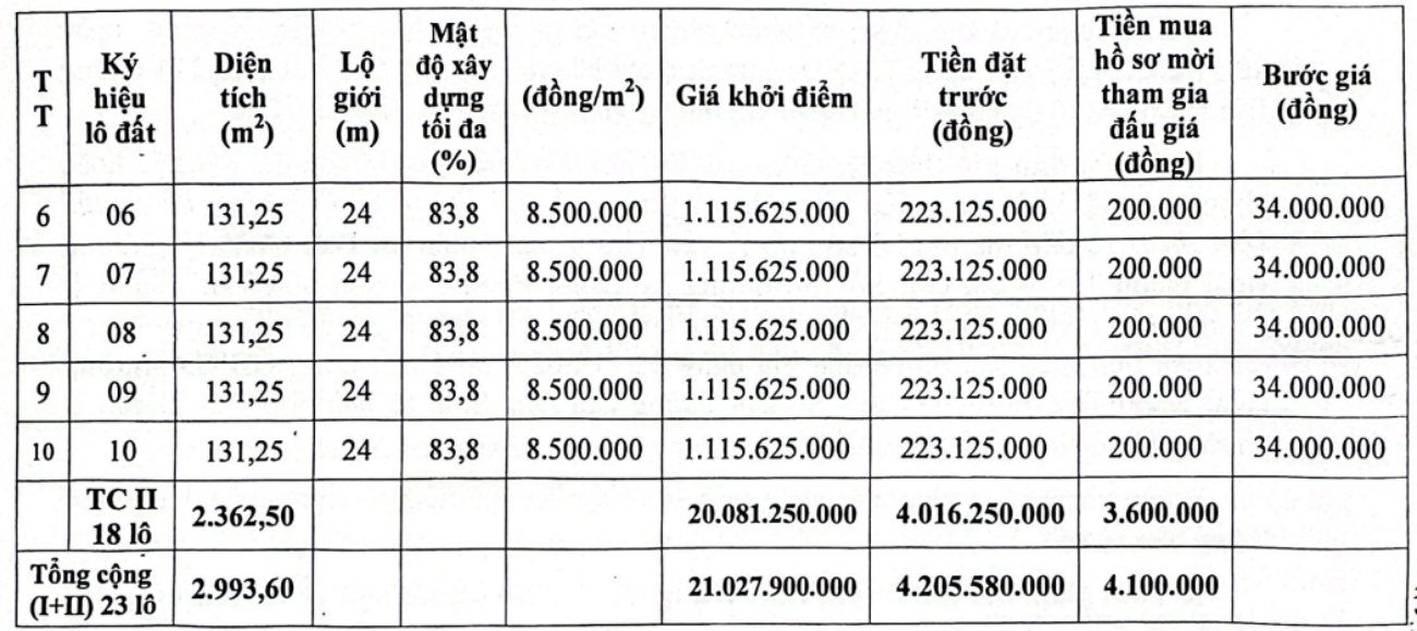 Thong tin phien dau gia 23 lo dat tai cac khu dan cu tren dia ban phuong Hoai Nhon Tay, tinh Gia Lai. Anh: Trung tam Dich vu dau gia tai san Quy Nhon