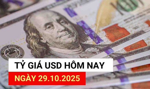Tỷ giá USD hôm nay 29.10.2025.