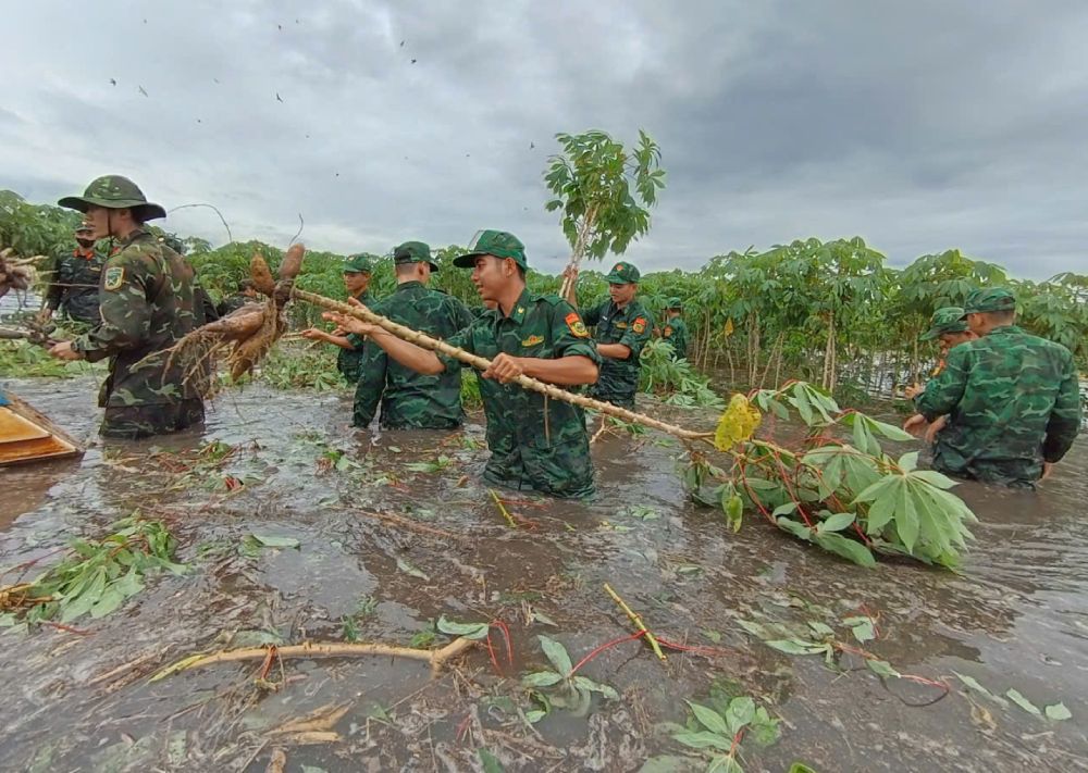Border guards and organizing forces help people harvest crops that are deeply submerged in water. Photo: Provided by Border Guard
