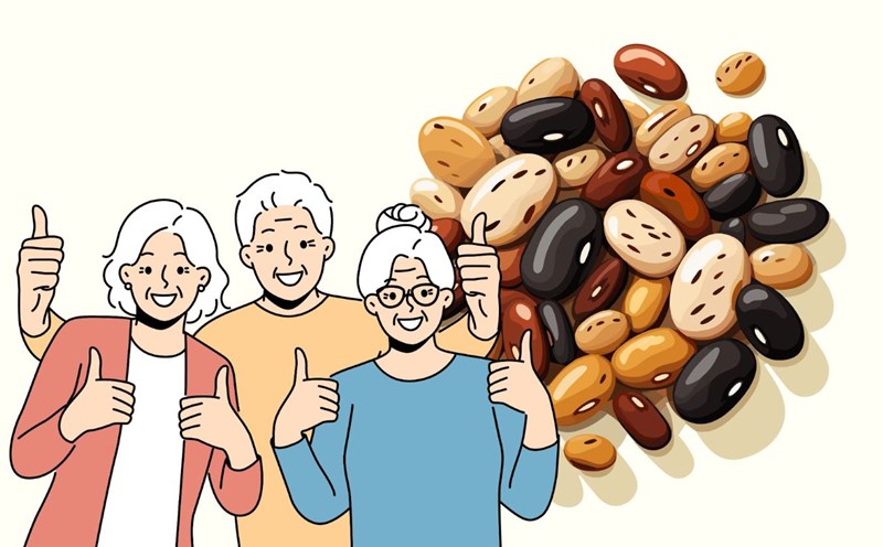 Eating beans every day helps increase life expectancy. Graphics: Thanh Thanh