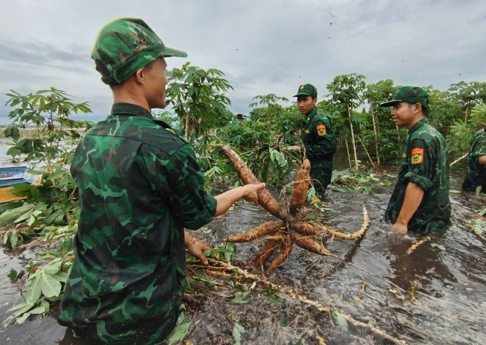 人々が浸水した作物を収穫するのを手伝ってください.