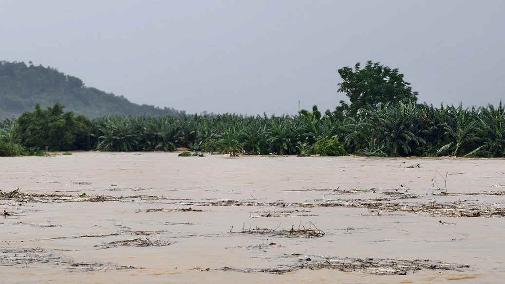 Khu vuc cay xanh la vi tri 7 nguoi dan con dang mac ket. Anh: Vien Nguyen