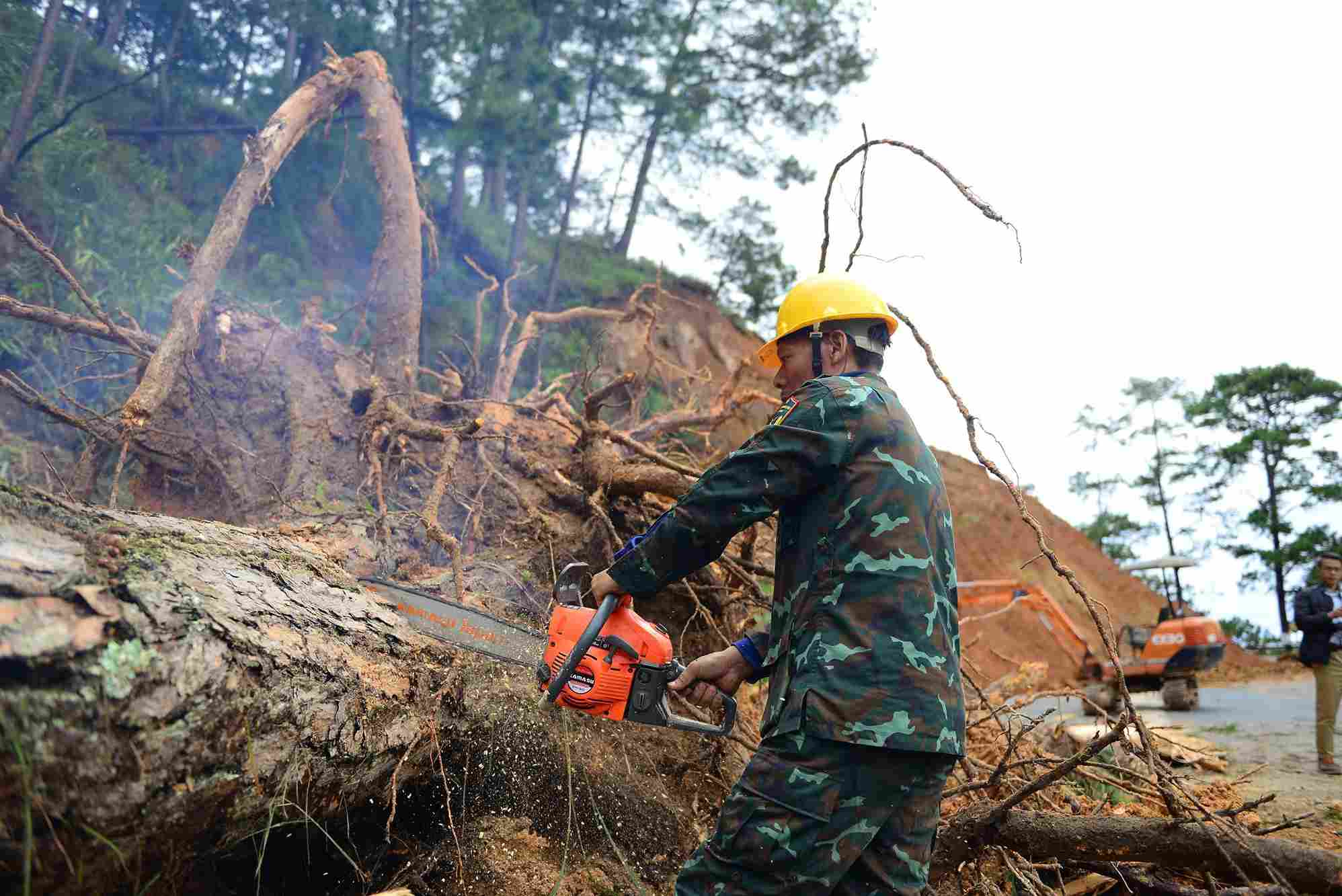 Cac luc luong cua cay giai phong hien truong tai khu vuc sat lo. Anh: Phuc Khanh