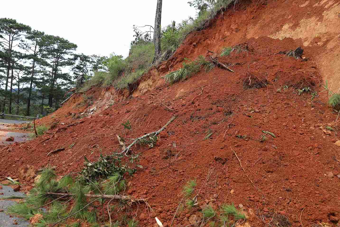 Co quan chuc nang tinh Lam Dong kiem tra khu vuc sat lo, sut lun tren deo D'ran. Anh: Phuc Khanh