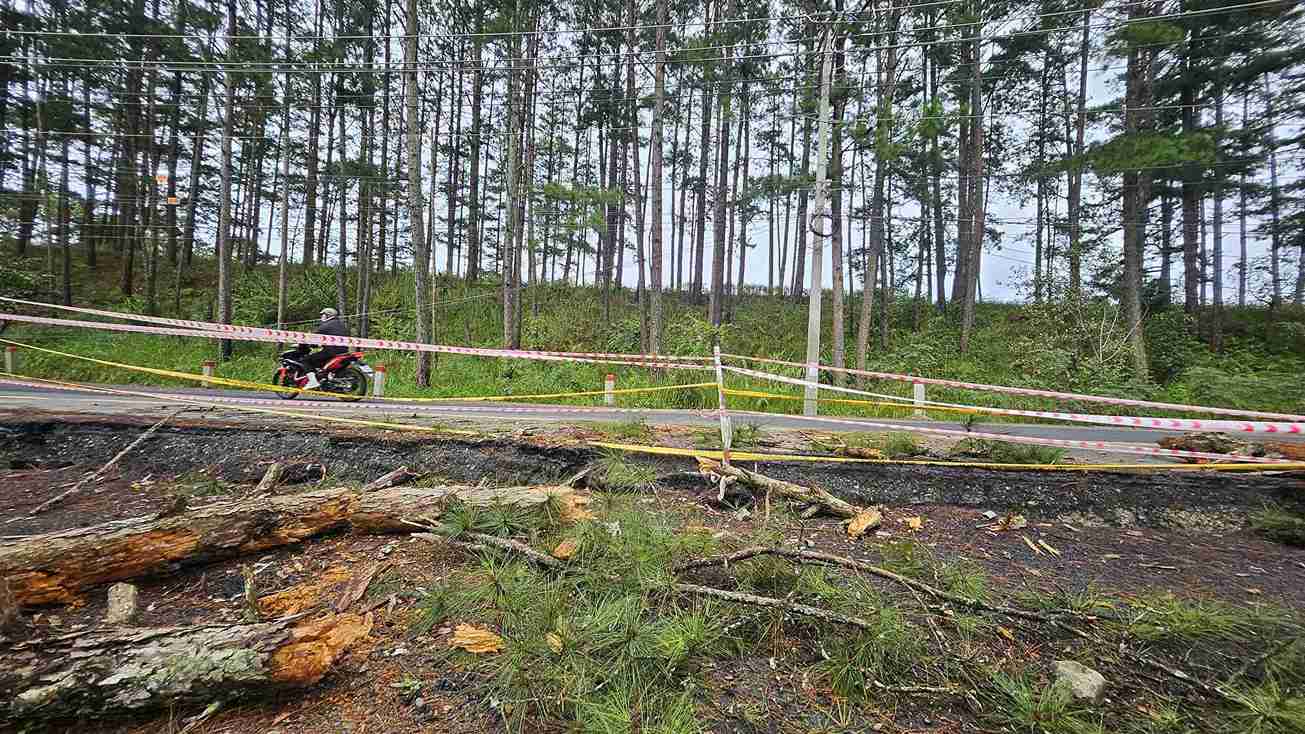 Phia taluy am tren deo D'ran bi sut lun. Anh: Phuc Khanh