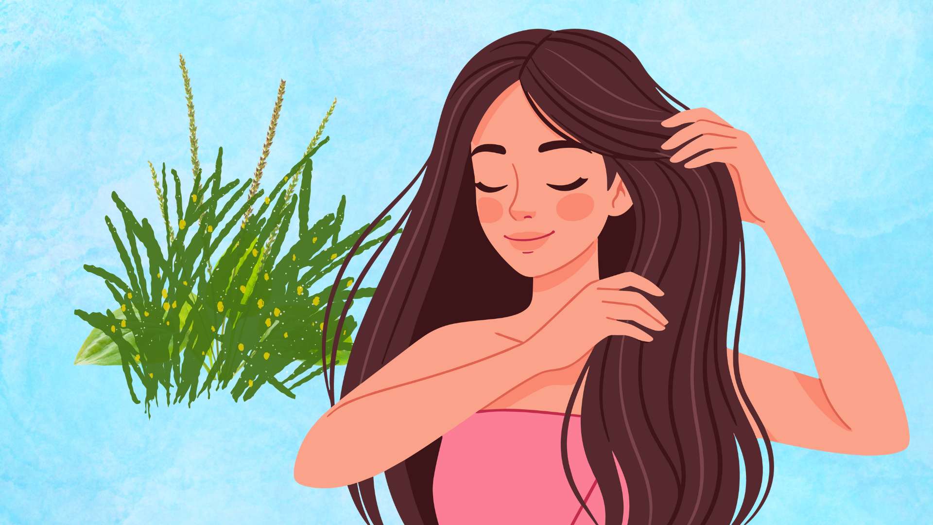 Unexpected uses of betel grass for hair. Graphic photo: Hoang Loc