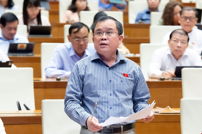 Dai bieu Quoc hoi Nguyen Tam Hung. Anh: Quochoi.vn