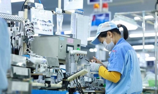 Quan hệ kinh tế, thương mại và đầu tư giữa Việt Nam và Hoa Kỳ trong thời gian qua tăng trưởng mạnh mẽ, hài hòa và bền vững. Ảnh: Hải Nguyễn