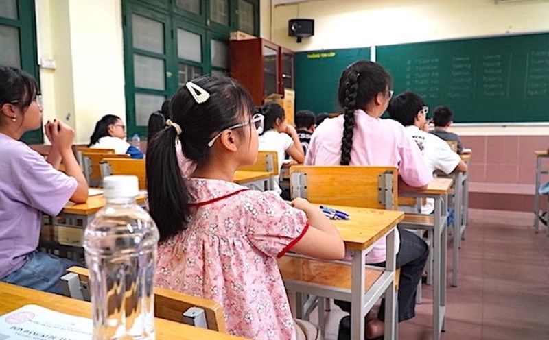 24h Education: English for teaching from grade 1; Damage of more than 117 billion VND in capital contribution