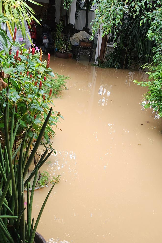 Nha danh ca Anh Tuyet bi ngap nang. Anh: Nghe si cung cap