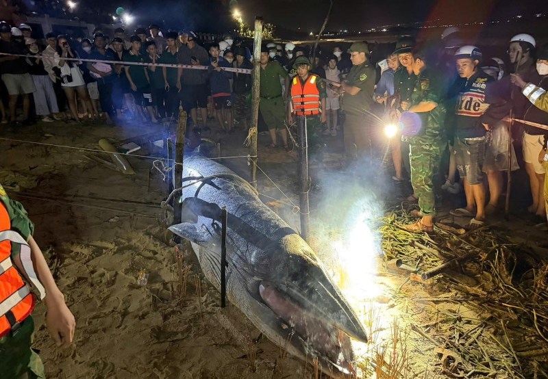 Nhieu nguoi dan Da Nang thap huong tien ca Ong troi dat vao bo bien Nguyen Tat Thanh. Anh: Truong An