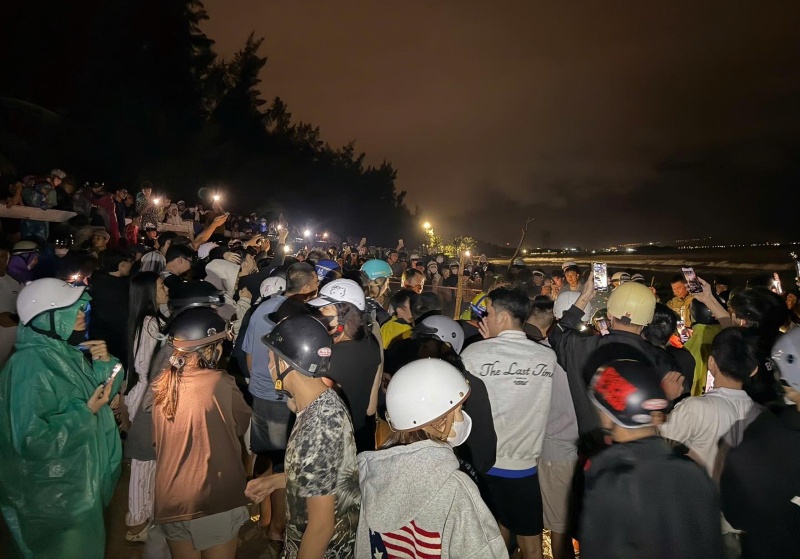 Ca voi khoang 3m luy vao bo bien Da Nang, thu hut rat dong nguoi dan hieu ky den xem. Anh: Truong An