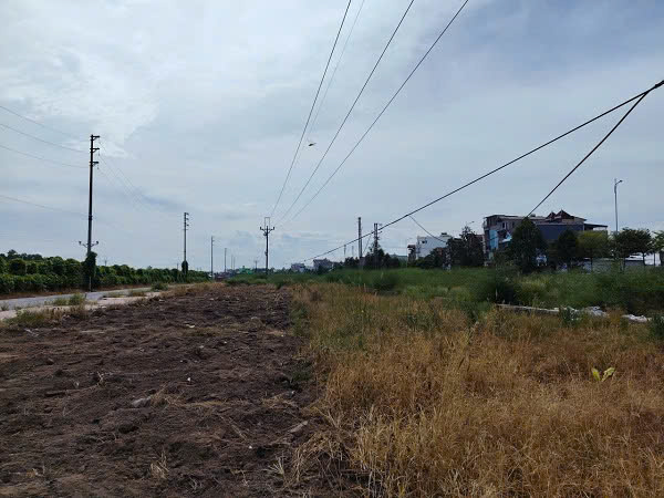 Add some cases of land recovery. Photo: Xuyen Dong